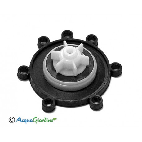 Diaphragm