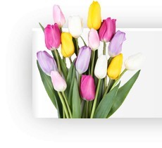 Pflanzen und Beete
